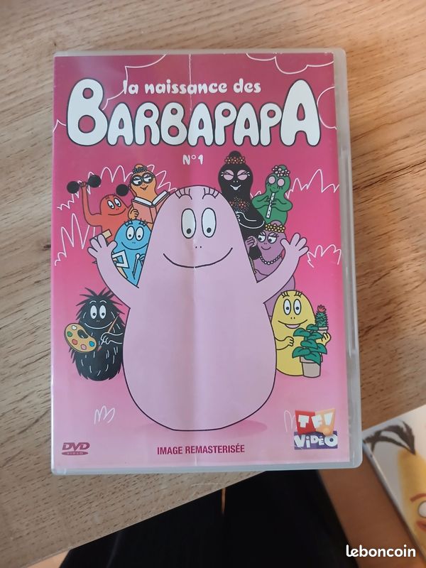 La naissance des barbapapa n°1, DVD (image 1)