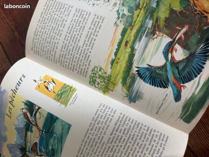 TBE - Pierre Probst auteur Caroline livre Le monde des oiseaux encyclopédie en couleurs Hachette (image 7)