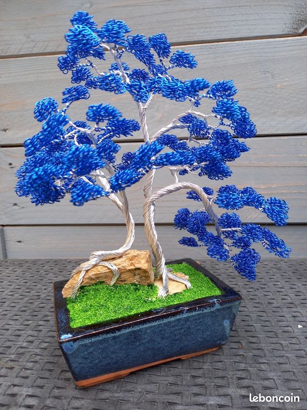 brilliant bonsai grow kit Buy Bonsai Tree Kit for Sale | Soil + Fertilizer Included