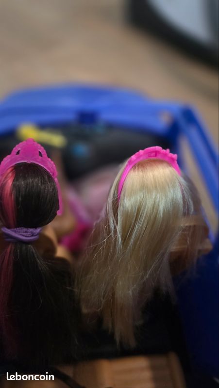 Lot 2 barbies + voiture 4 places
Avec vetemenrs et accomme indiqués sur les photos (image 4)