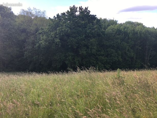 Terrain viabilisé