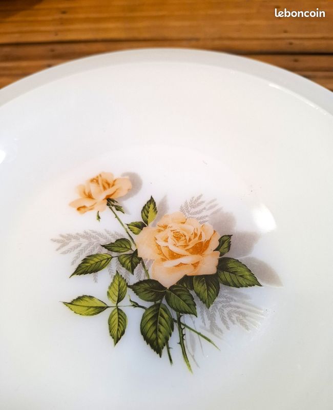 18 assiettes arcopal en opaline motif roses - Arts de la table