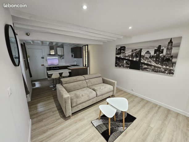 Grand Studio meublé Paris 19ème refait a neuf