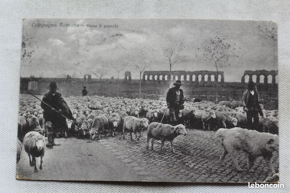 Cpa 1929, campagna Romana, verso il pascola, Rome, Italie, fs91, AC333/3 (image 1)