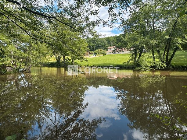 Propriété 9 pièces 168 m²