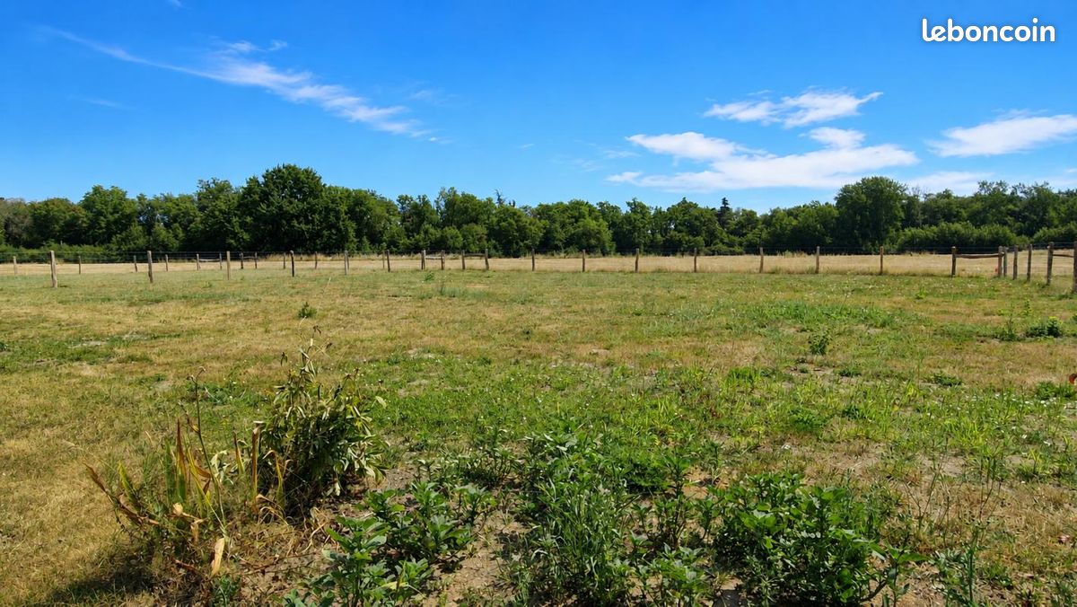 Maison 6 pièces 110 m² (image 9)