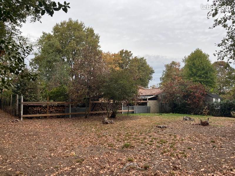Terrain 668 m² · à Canéjan · 246 240 €