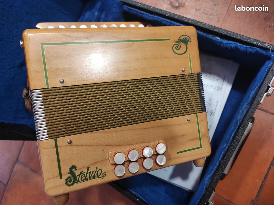 Accordéon diatonique (image 3)