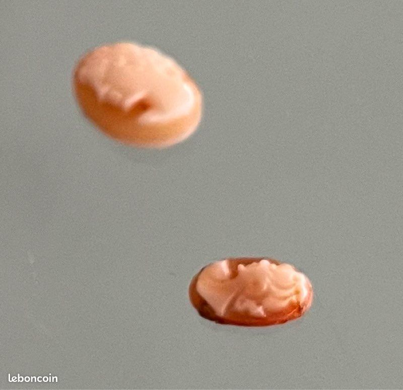 2 micro camées (image 3)