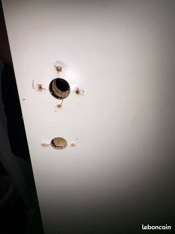 Porte alvéolaire laquée poussant droit (image 3)