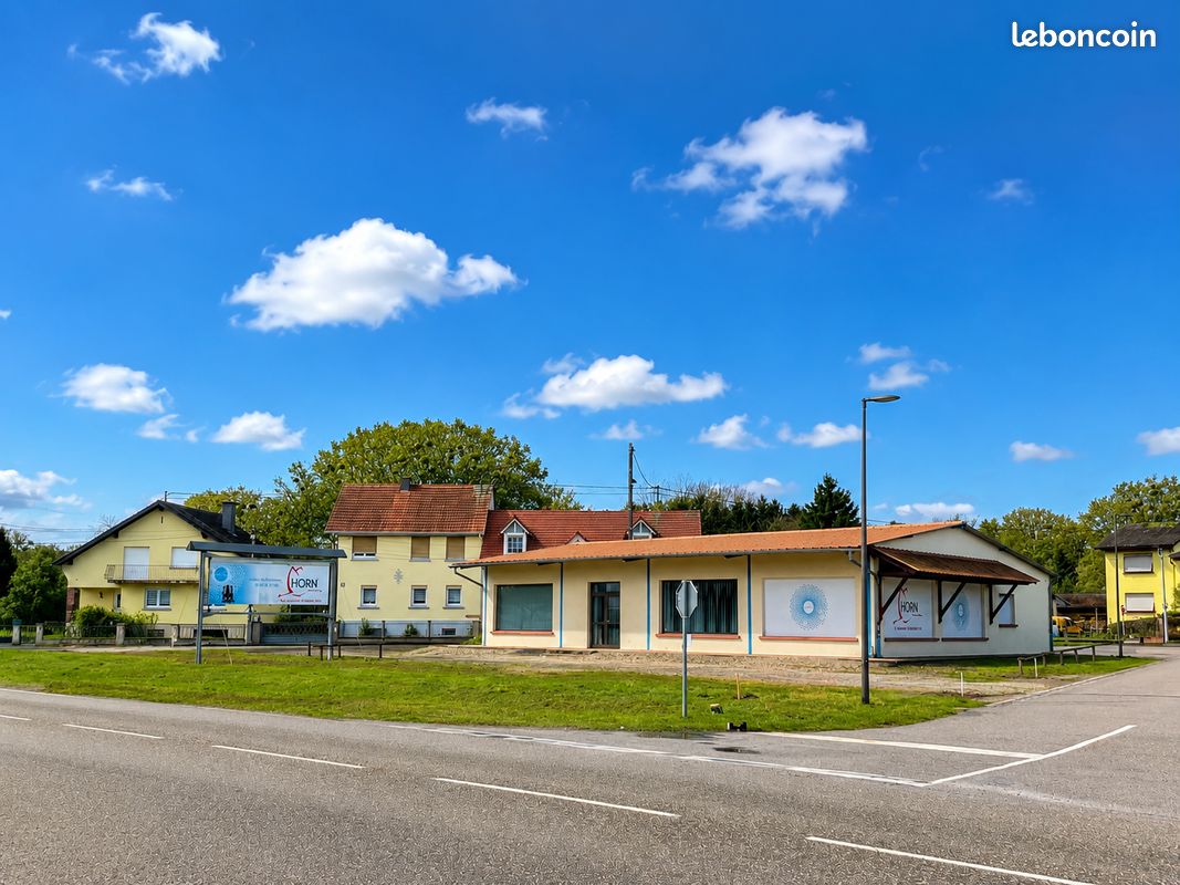 Local commercial 5 pièces 243 m² · à Kurtzenhouse · 243 m² · 540 000 €