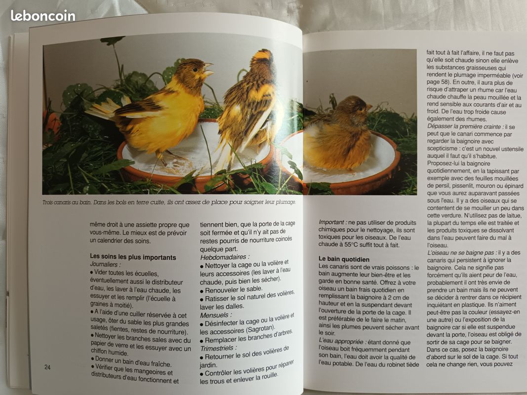 Mini livre sur les CANARIS (image 4)