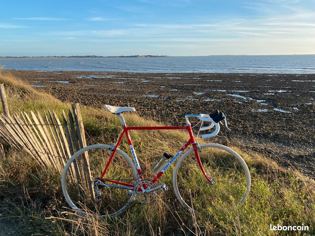 Eddy merckx strada campagnolo (image 1)