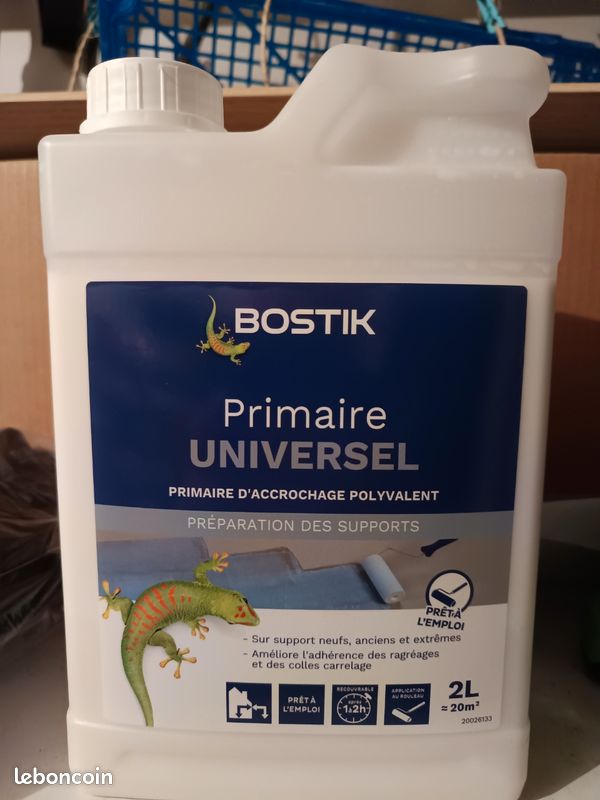 Primaire universel (image 1)