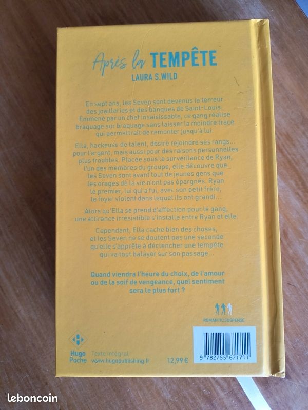 Roman Après la tempête de Laura S.Wild (image 4)