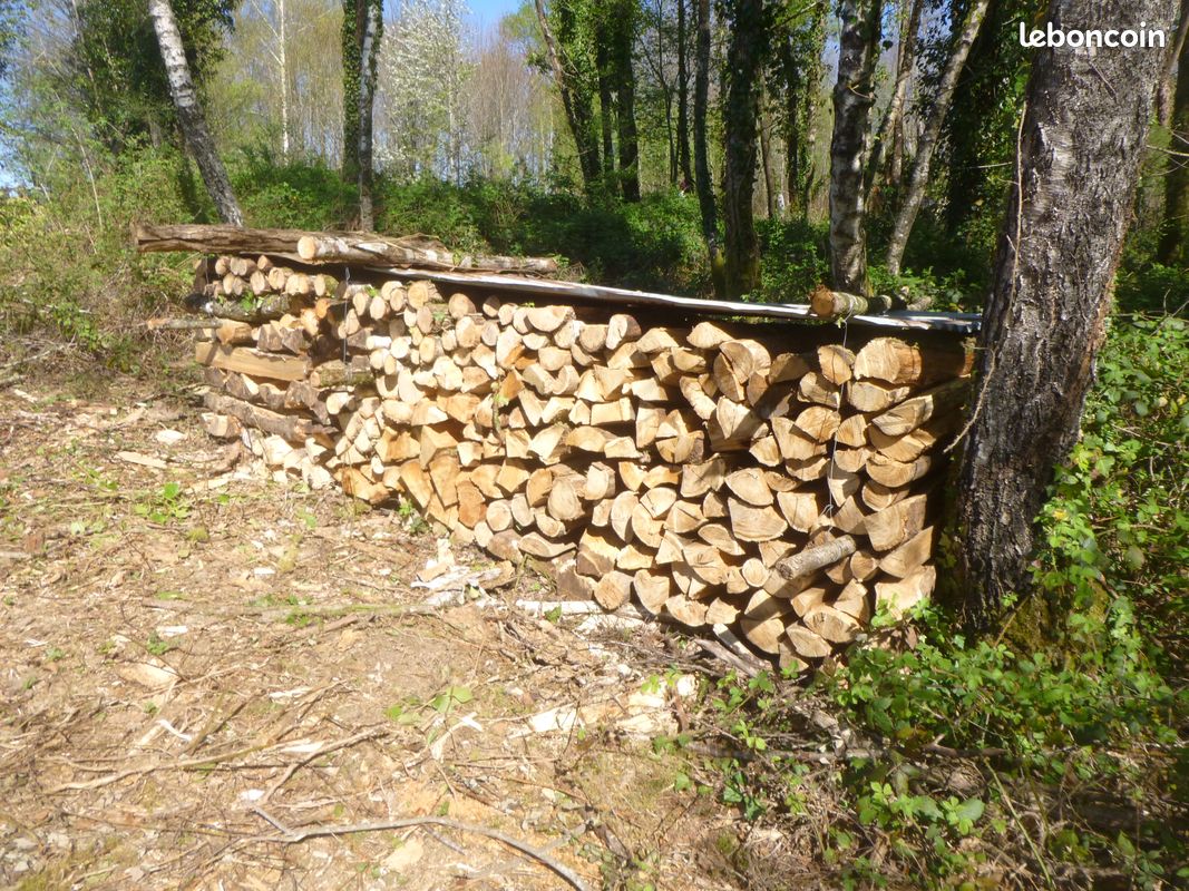 Bois de chauffage (image 2)