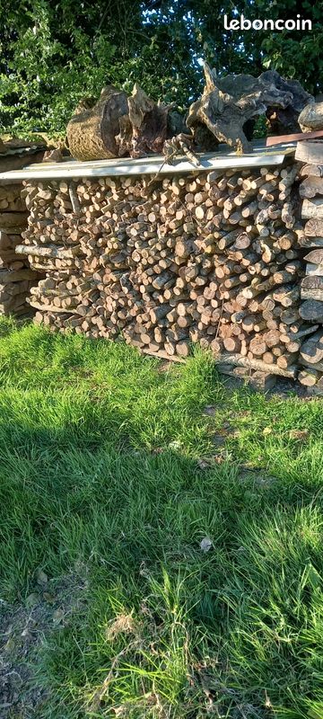 Bois Allume-feu ou pour barbecue (image 2)