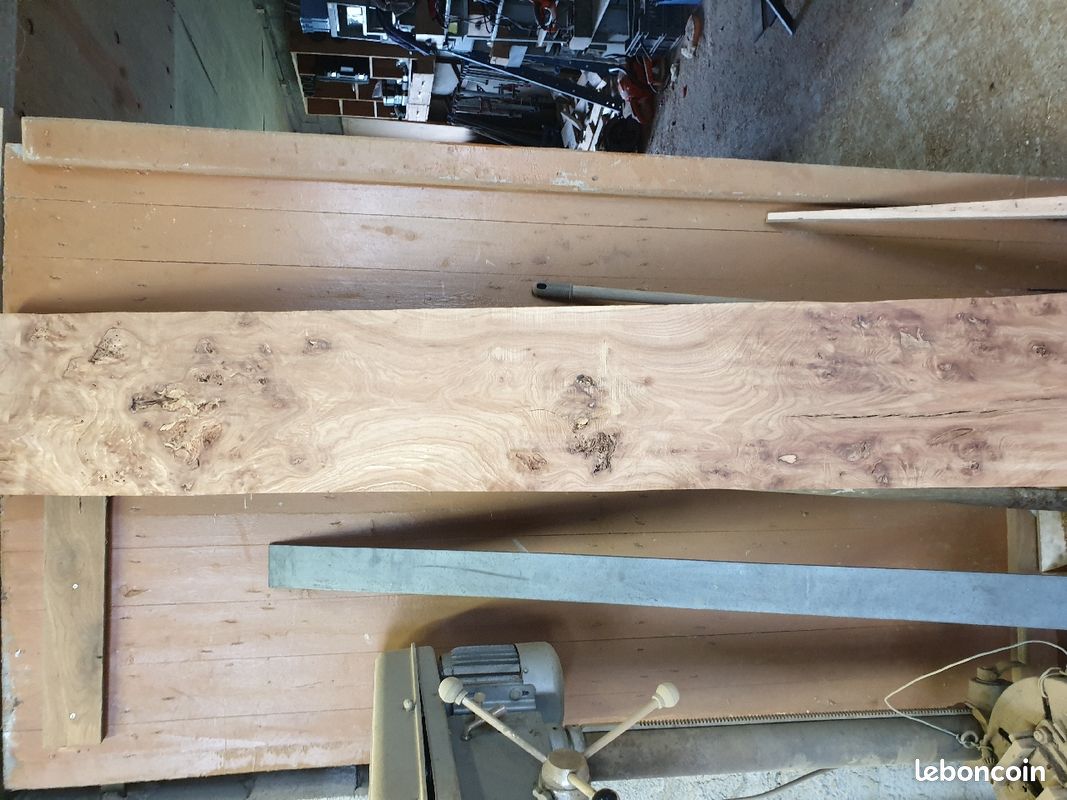 Planche en ormeau (image 3)