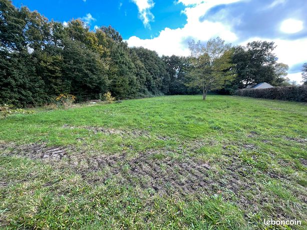Terrain 1968 m² BLAISON SAINT SULPICE