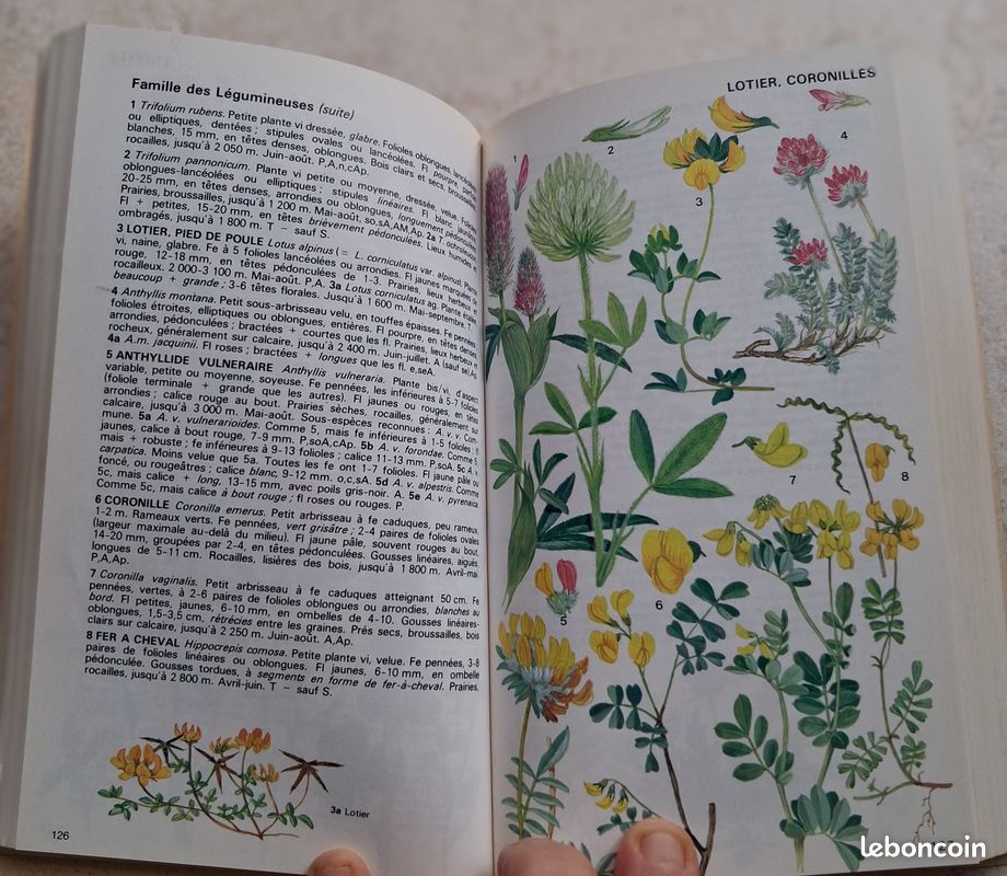 Livre Fleurs de montagne (image 2)