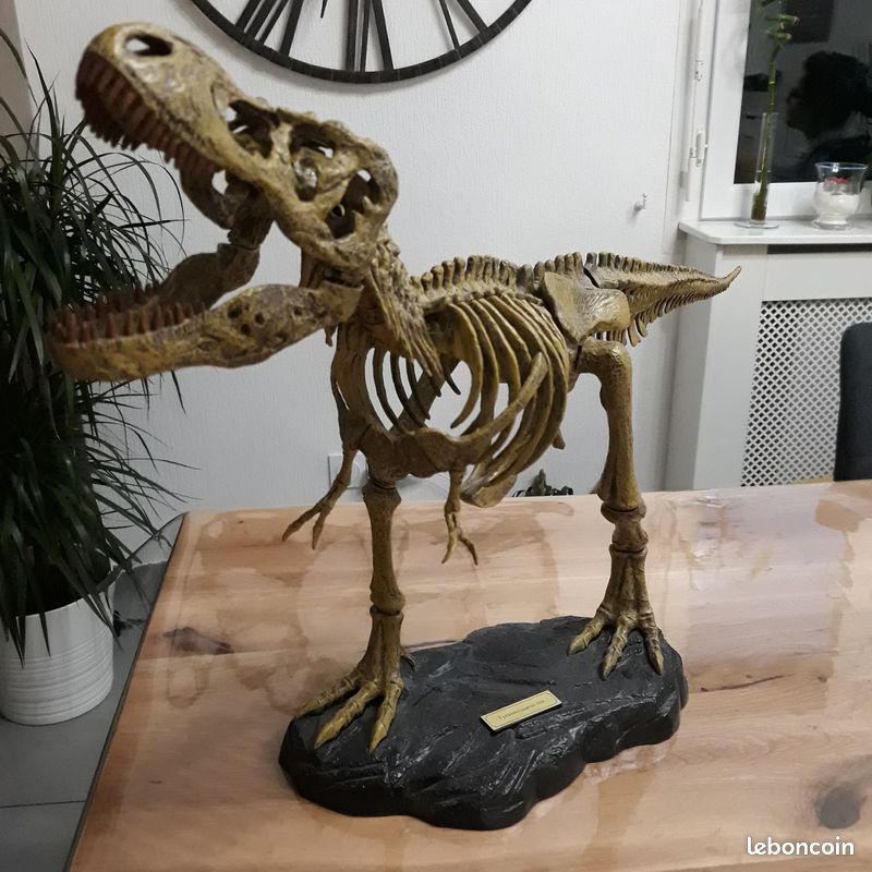 Tyrannosaurus rex (image 2)