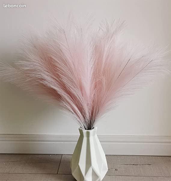 20 Bâtons Fleurs Séchées Pampa 55cm LIBRNTY - 5 Couleurs Pour Décoration Bohème