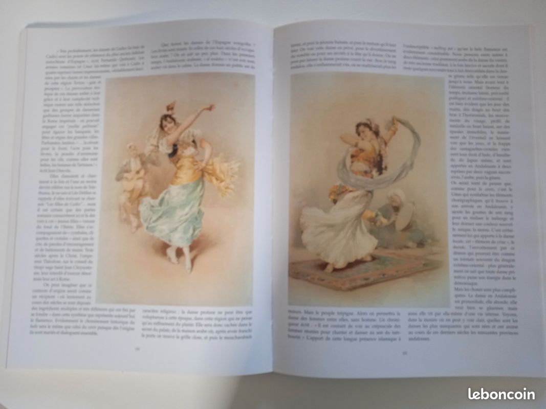Livre le flamenco (image 3)