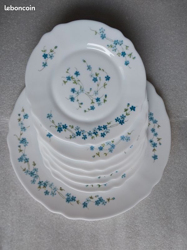 Service desserts ARCOPAL myosotis (image 1)