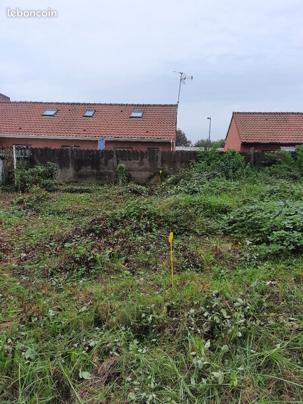 Vends terrain constructible de 765 m2 · à Pecquencourt · 60 000 €
