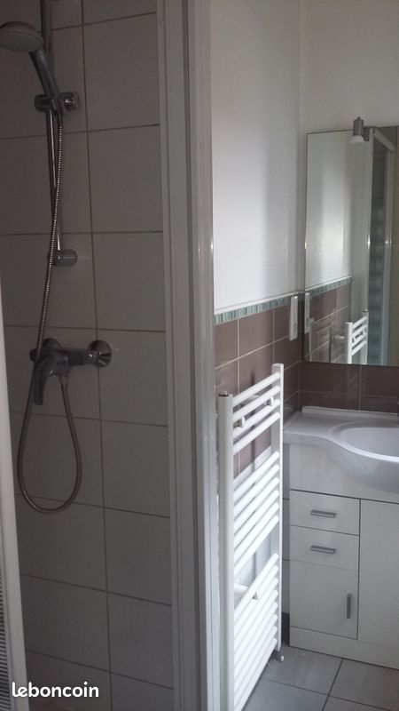 T2 37 m2 Centre-Ville Mairie - Limoges 87000 (image principale 2)