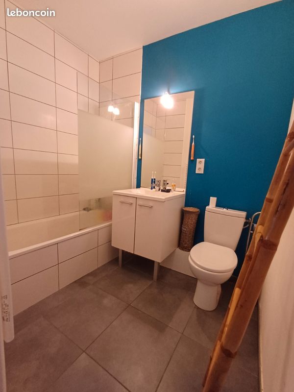 T3 en duplex de 58 m² avec jardin de 90m² et garage (image 10)