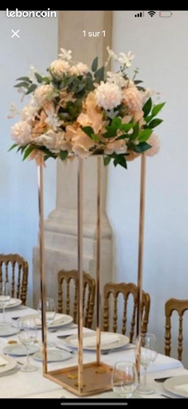 Fleur nude à louer (image 1)