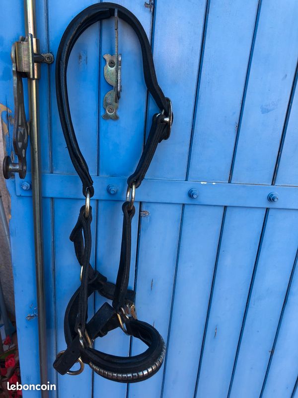 Lot affaires équitation (image 8)