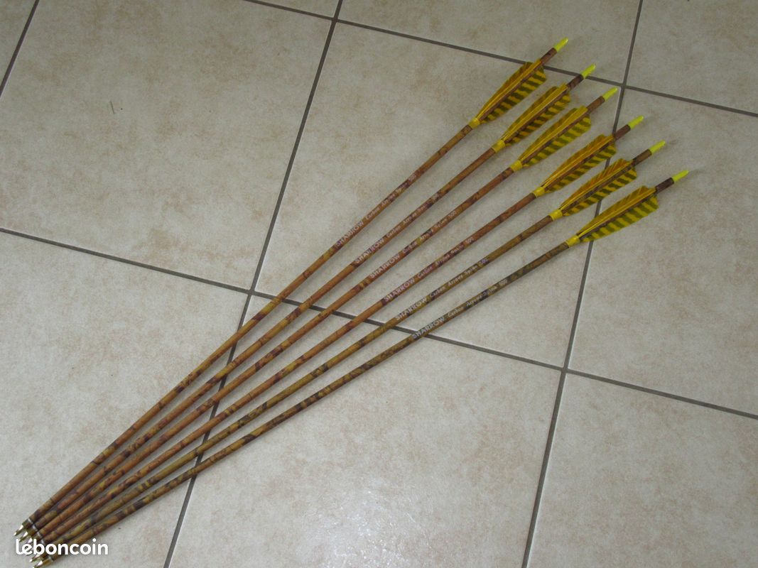 6 Flèches carbone spine 500 arc plumes naturelles (image 1)