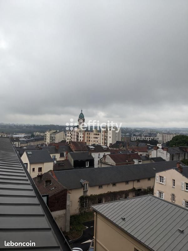 Appartement 1 pièce 44 m² - Limoges 87000 (image principale 4)