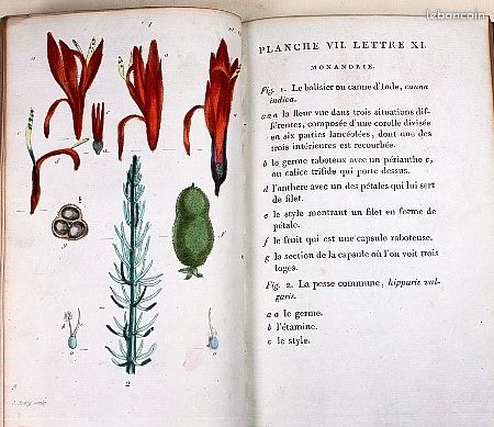 Œuvres complètes de Jean-Jacques Rousseau en 37 volumes (image 10)