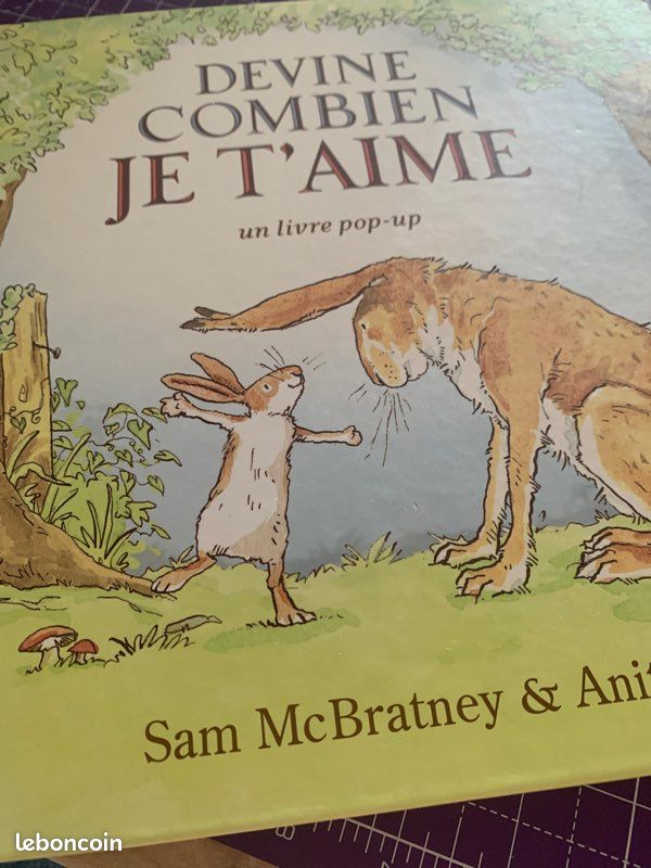 Devine combien je t’aime (image 2)