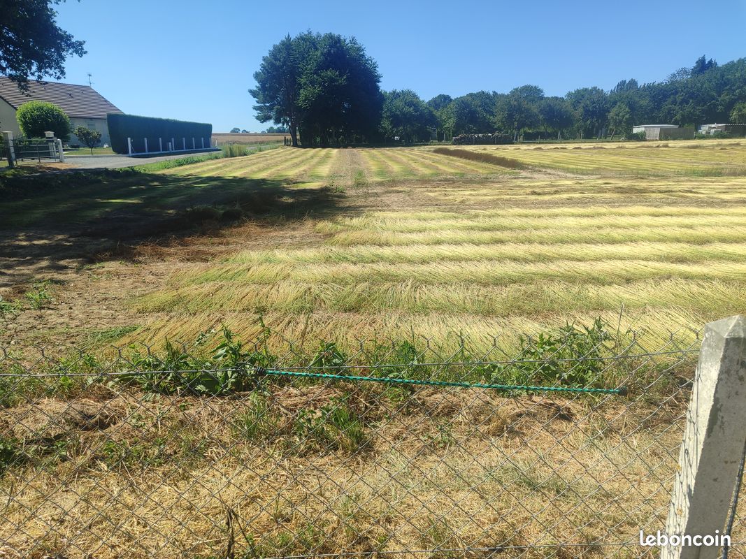 Terrain à vendre · à Le Perrey · 45 000 €