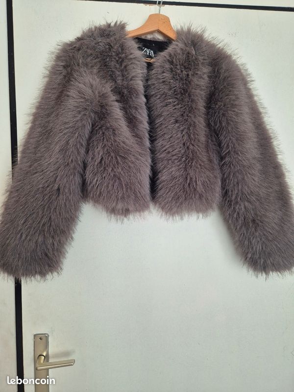 Manteau zara (image 1)