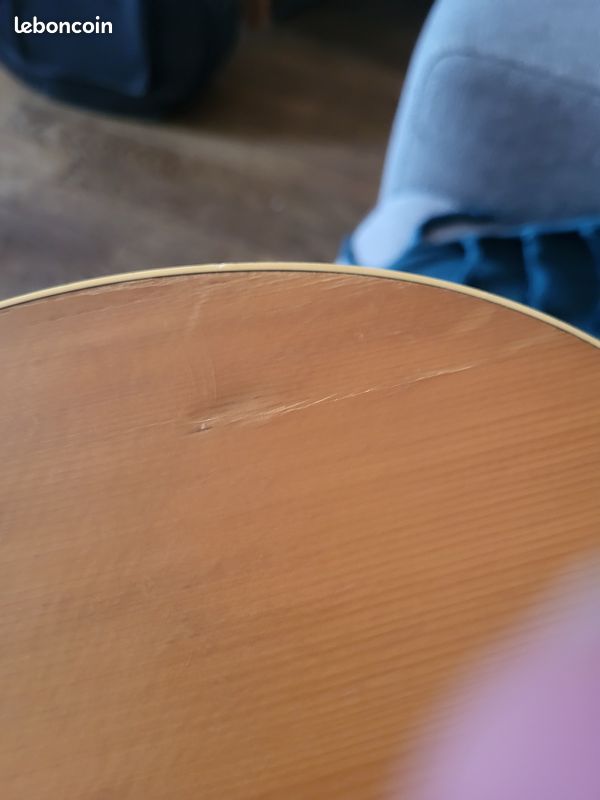 Guitare Norman B20 (image 4)