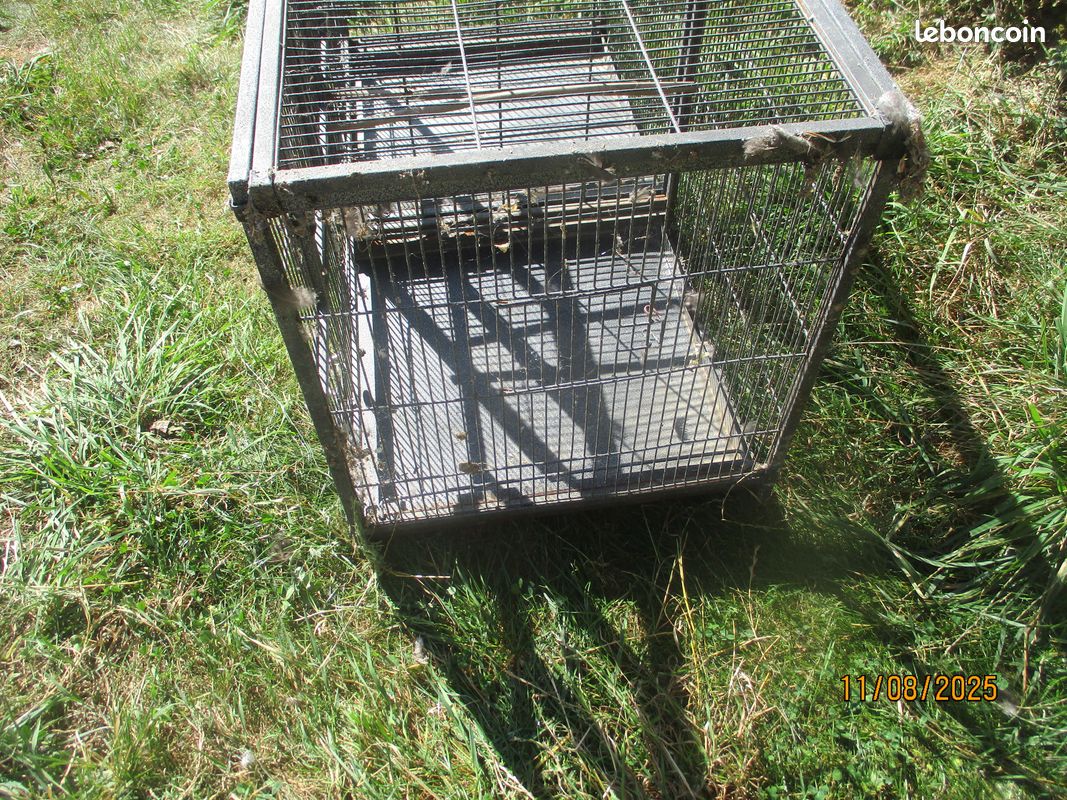 Grande cage de transport pour animaux (image 3)