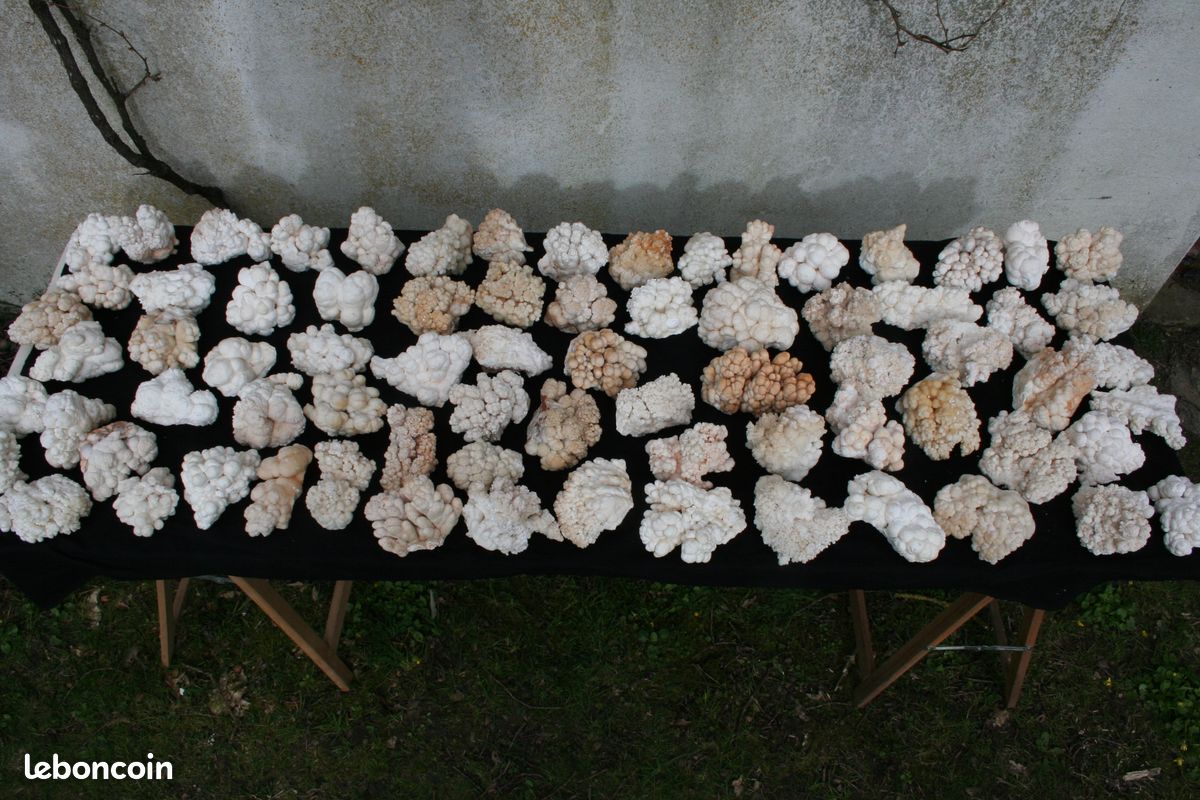 Minéraux lot d'aragonites 75 pièces (image 1)