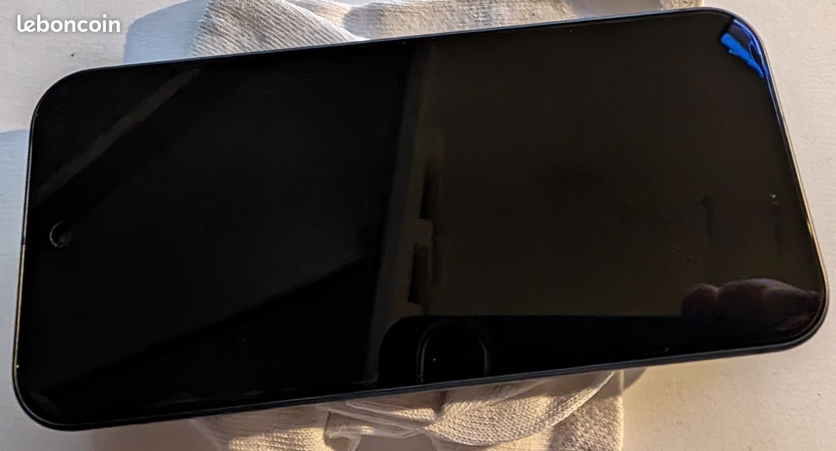 Pixel 9 256Go (image 14)
