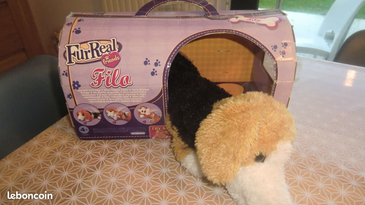 Chien filo fureal (image 1)