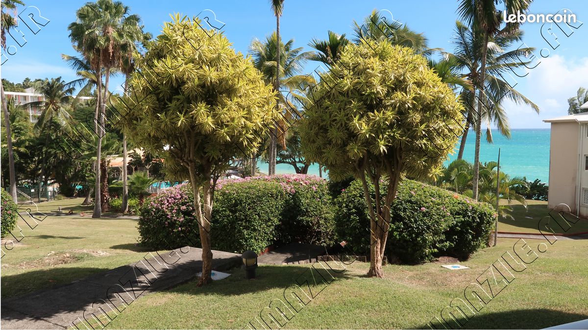 Appartement vue mer, le gosier guadeloupe (image 1)