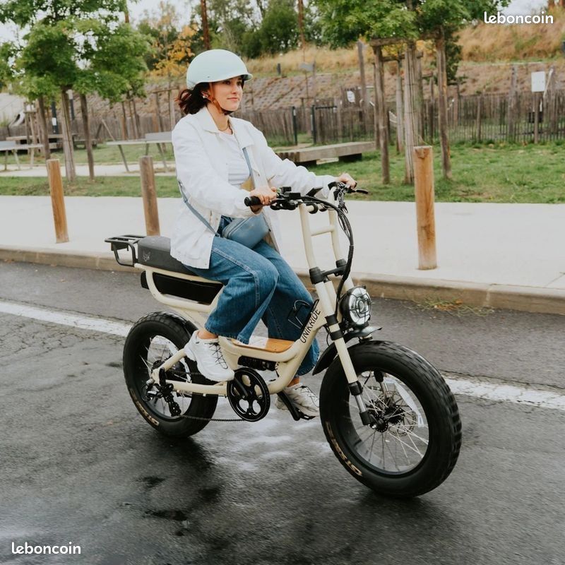 Vélo Électrique Cargo Biplace Fatstreet X Trail cadre bas – inckus GPS ANTI VOL (image 3)
