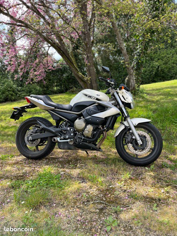 Yamaha XJ6 2010 (image 2)