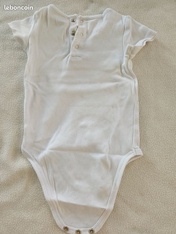 Bodies (image 5)