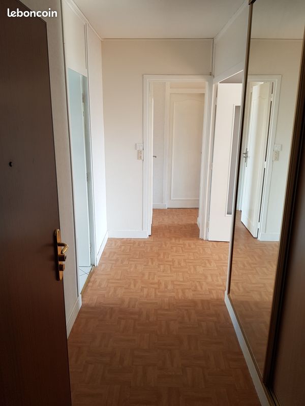 Appartement Reims Saint-Rémi T3 bis lumineux (image 10)