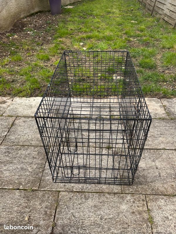 Caisse chien (image 1)